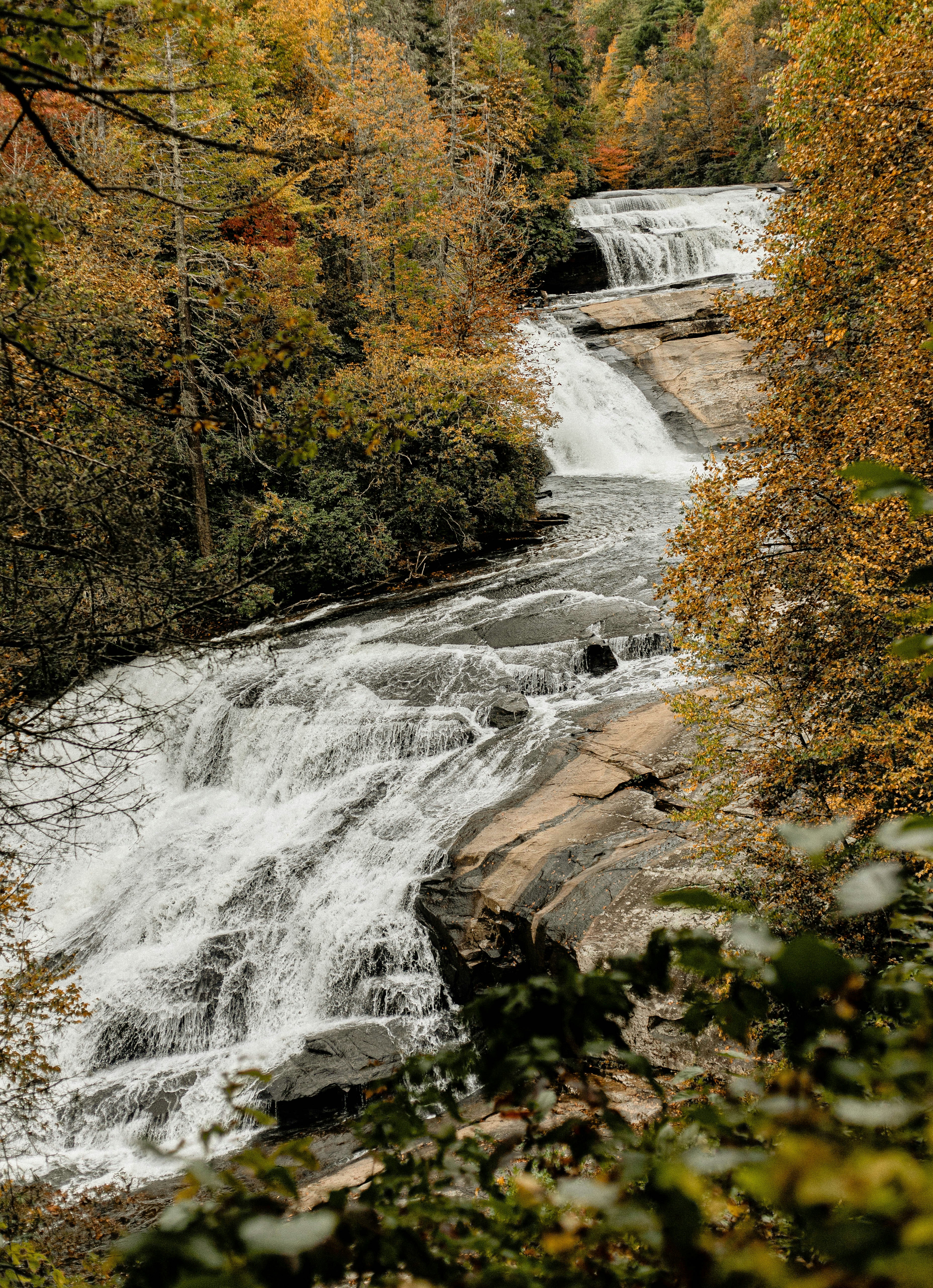 water falls in the middle of the forest
