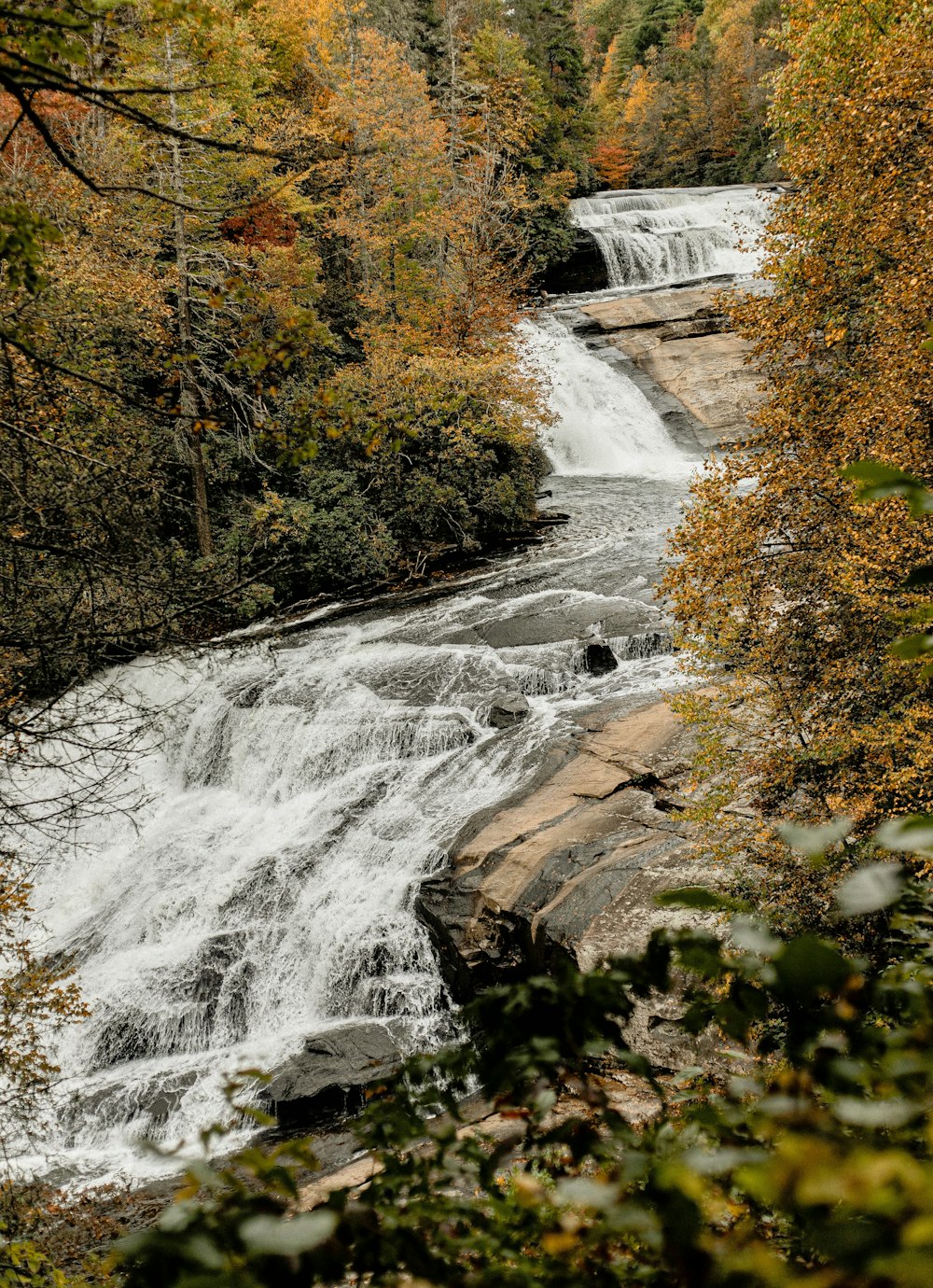 water falls in the middle of the forest