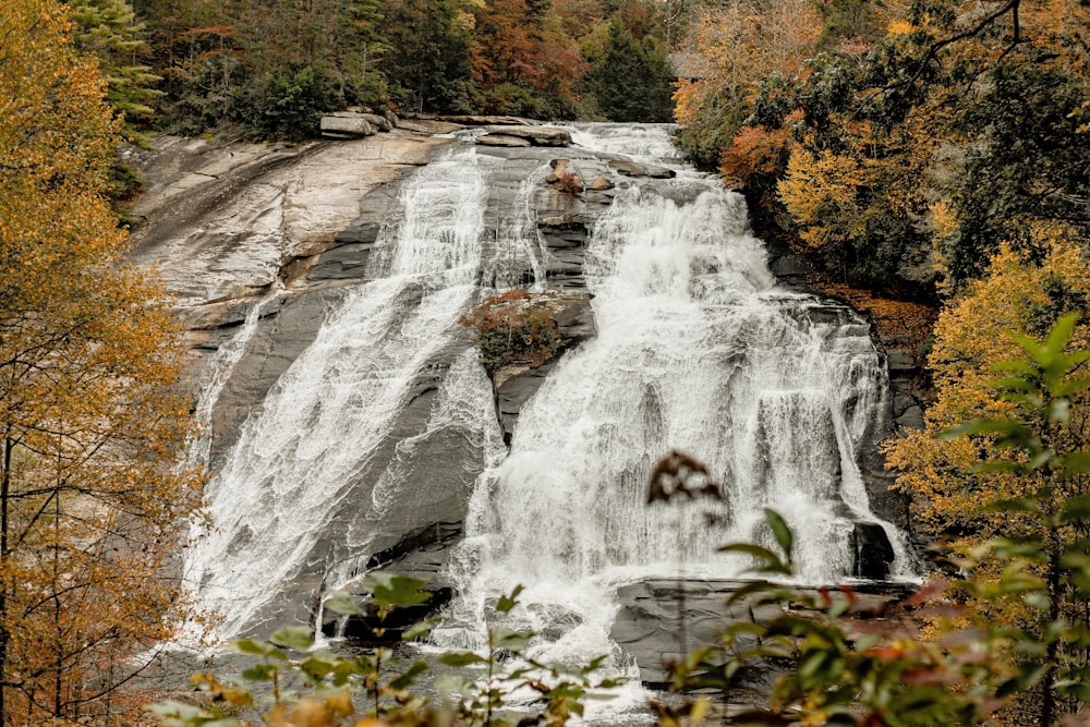 waterfalls in forest during daytime