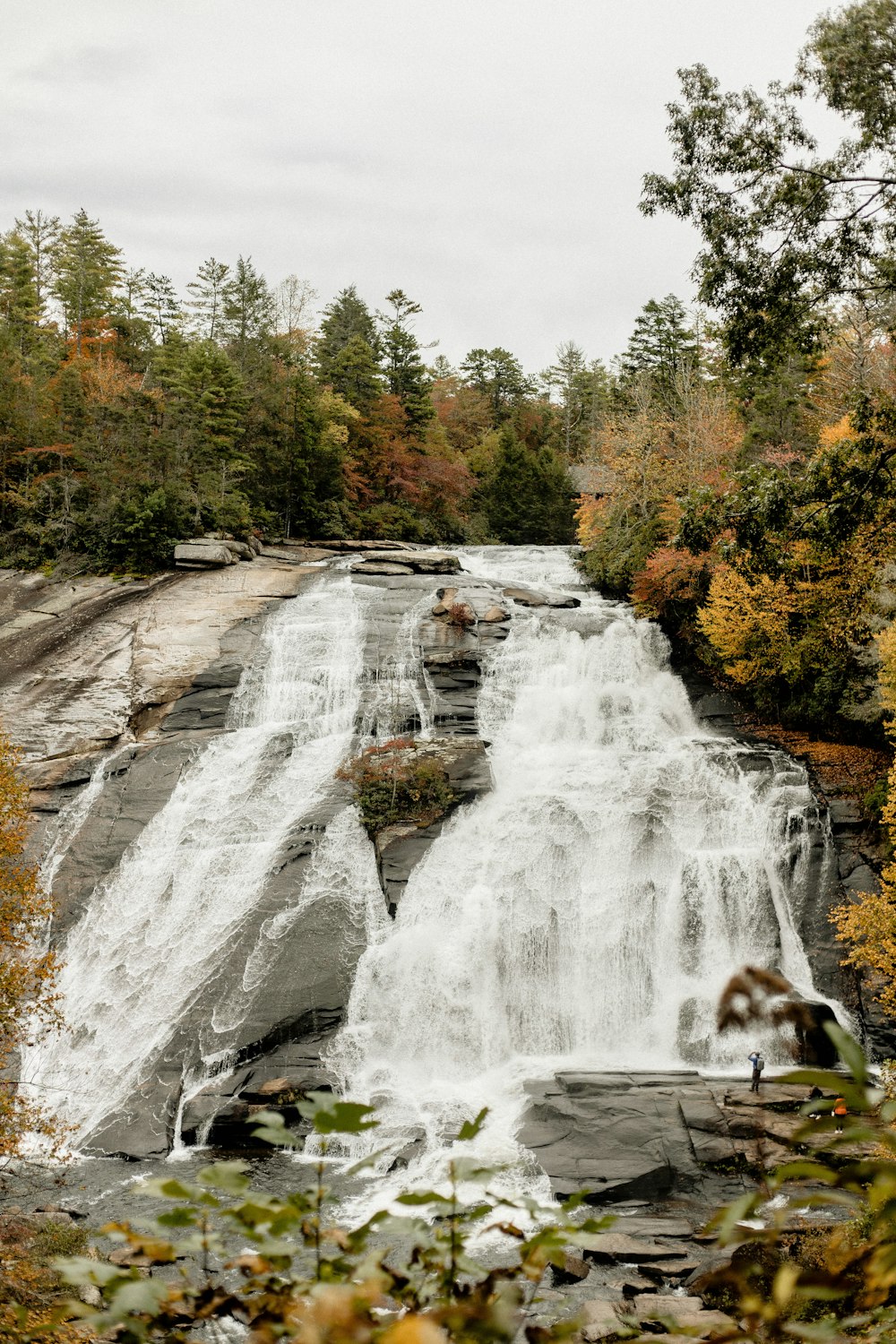 waterfalls in the middle of forest during daytime