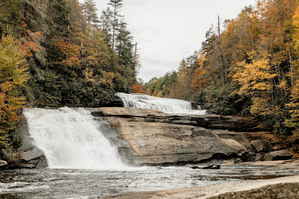 waterfalls in the middle of forest during daytime