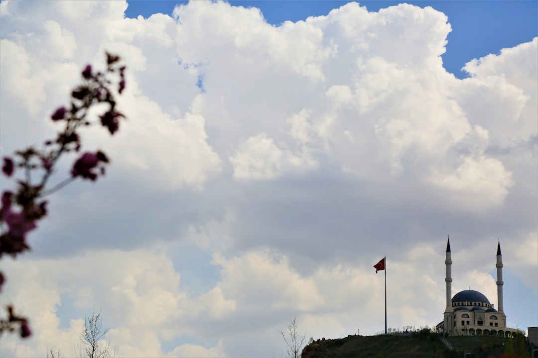 white clouds over green grass field during daytime