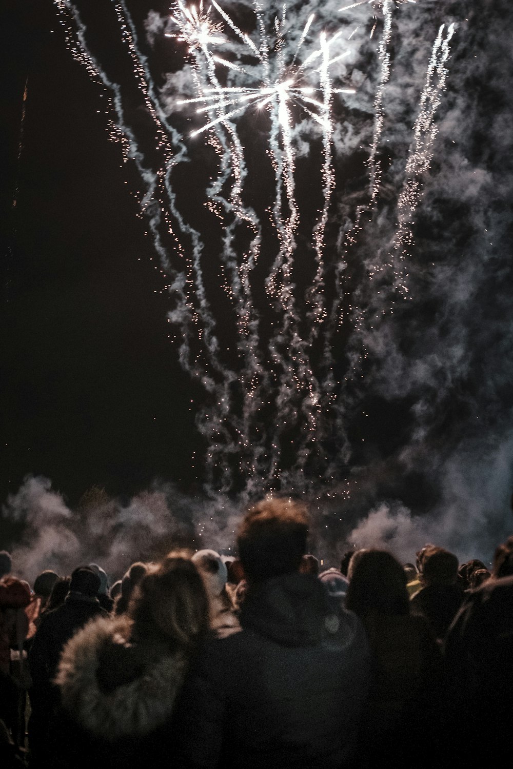 people watching fireworks display during night time