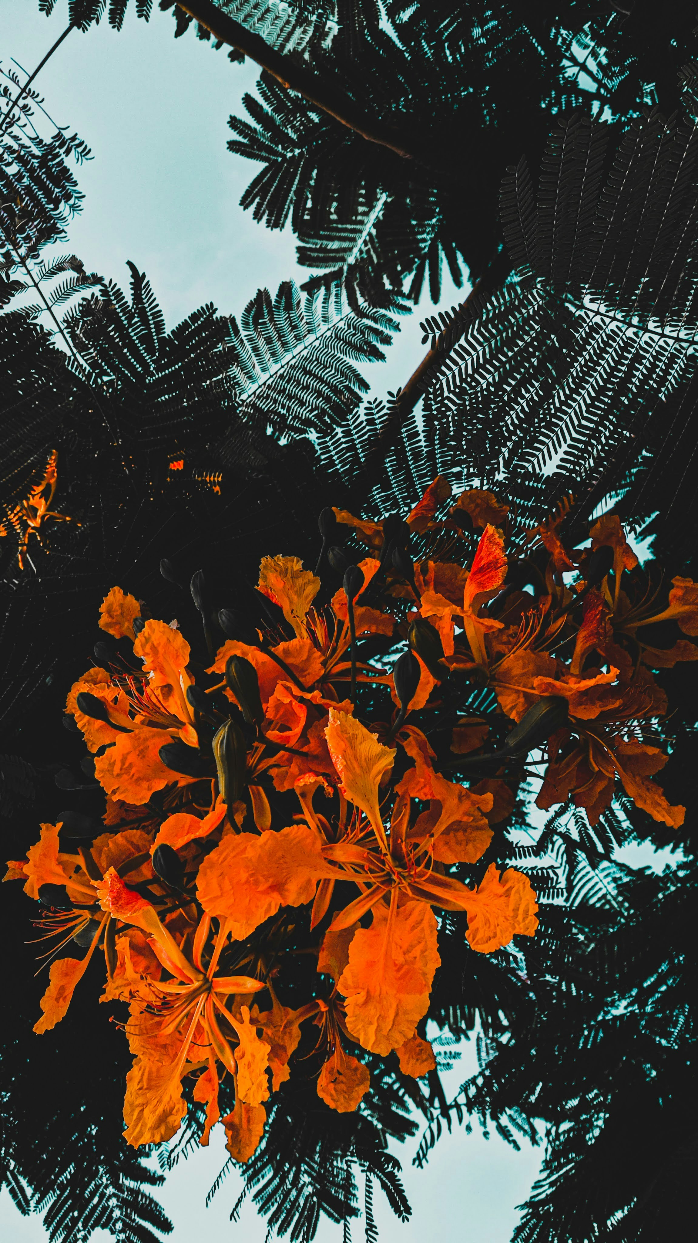 Photo by the_owlsden