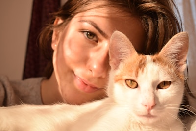 A cozy scene of a rescued dog and cat sitting happily together in a sunbeam.