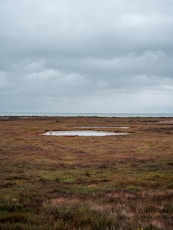 green grass field under white clouds during daytime