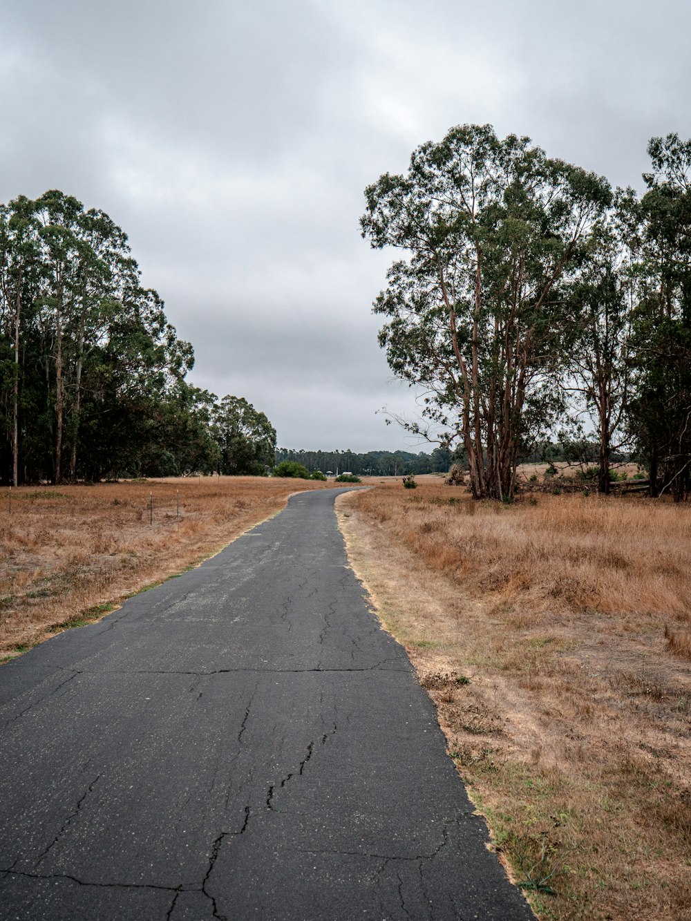 gray asphalt road between green trees under white clouds during daytime