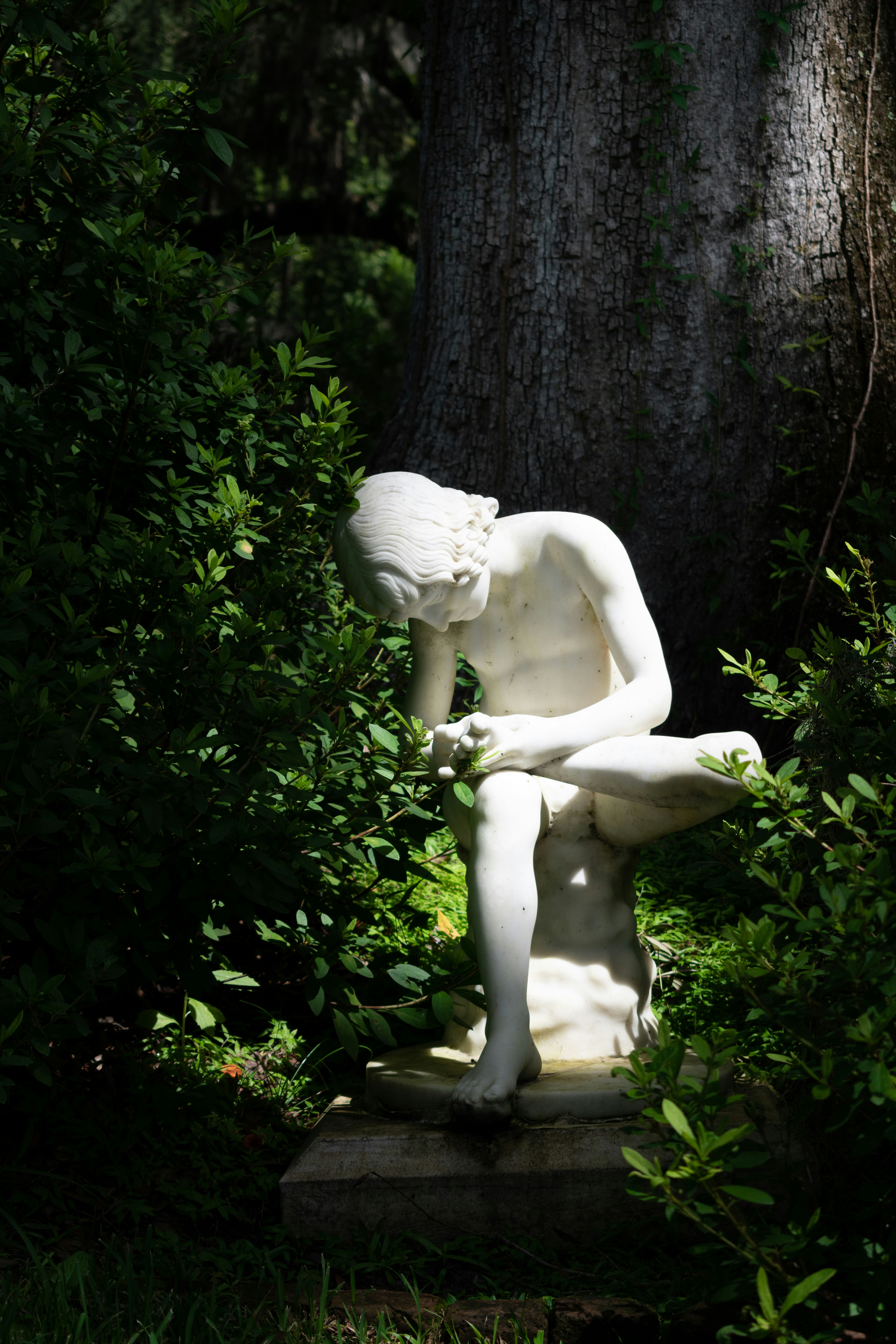 Photo by kathleendinapoli