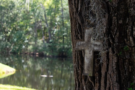 brown wooden cross on brown tree trunk