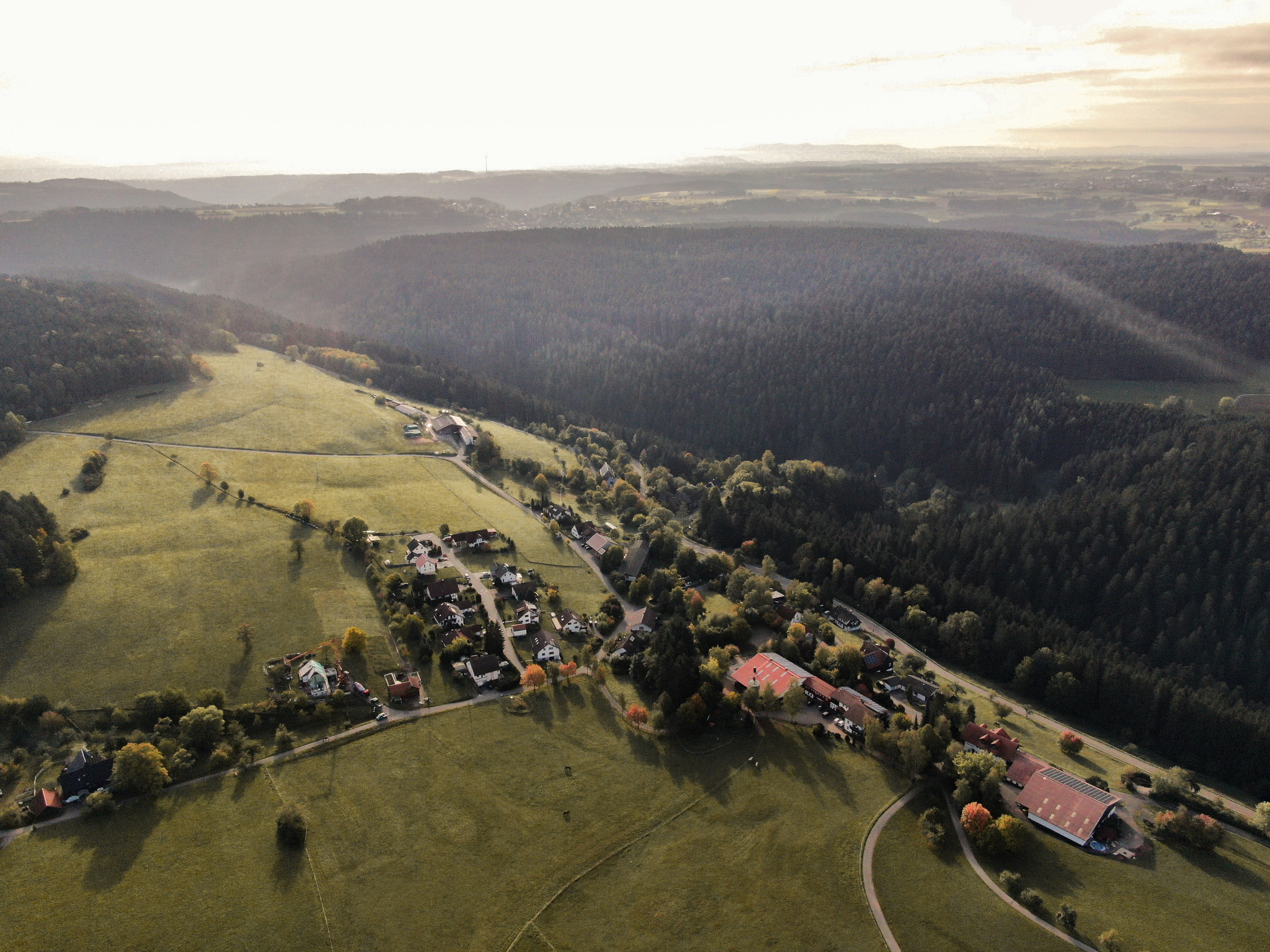 Photo by meister_stamm