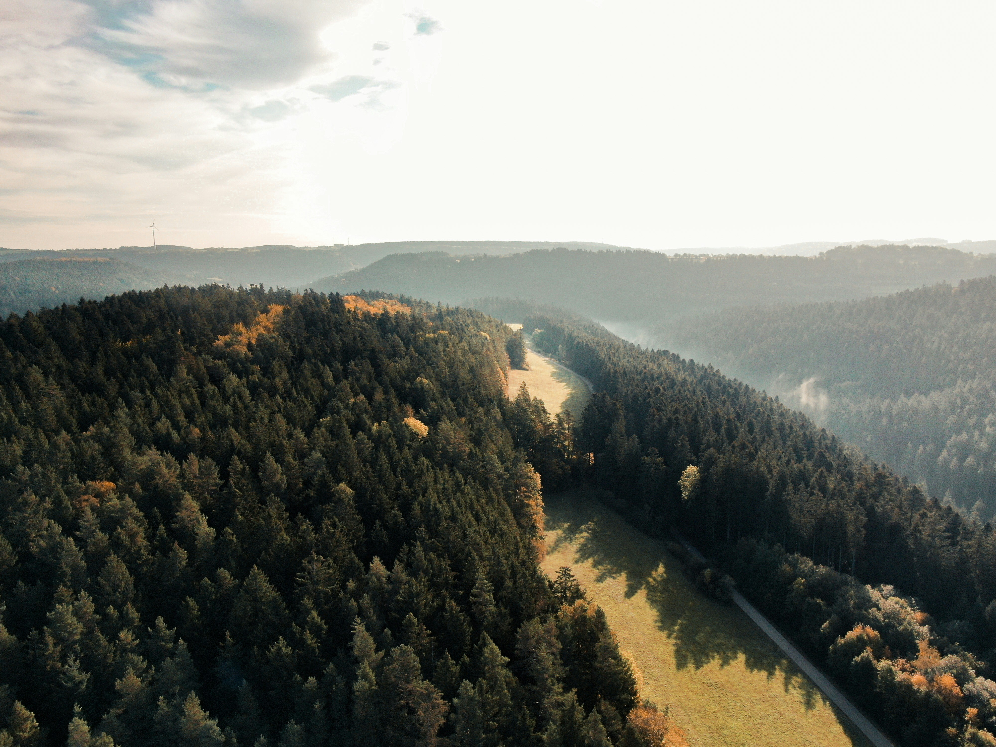 Photo by meister_stamm