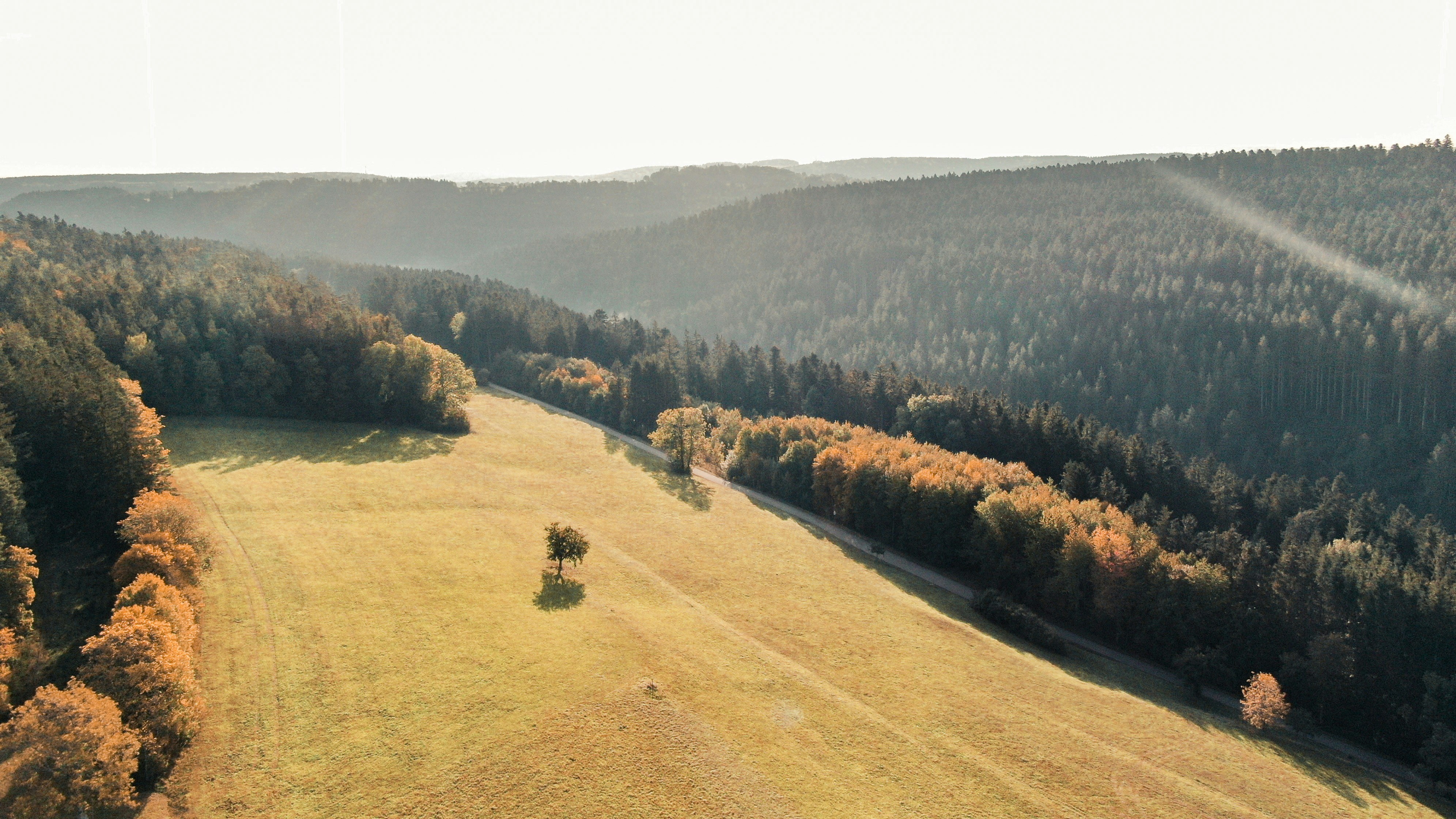 Photo by meister_stamm