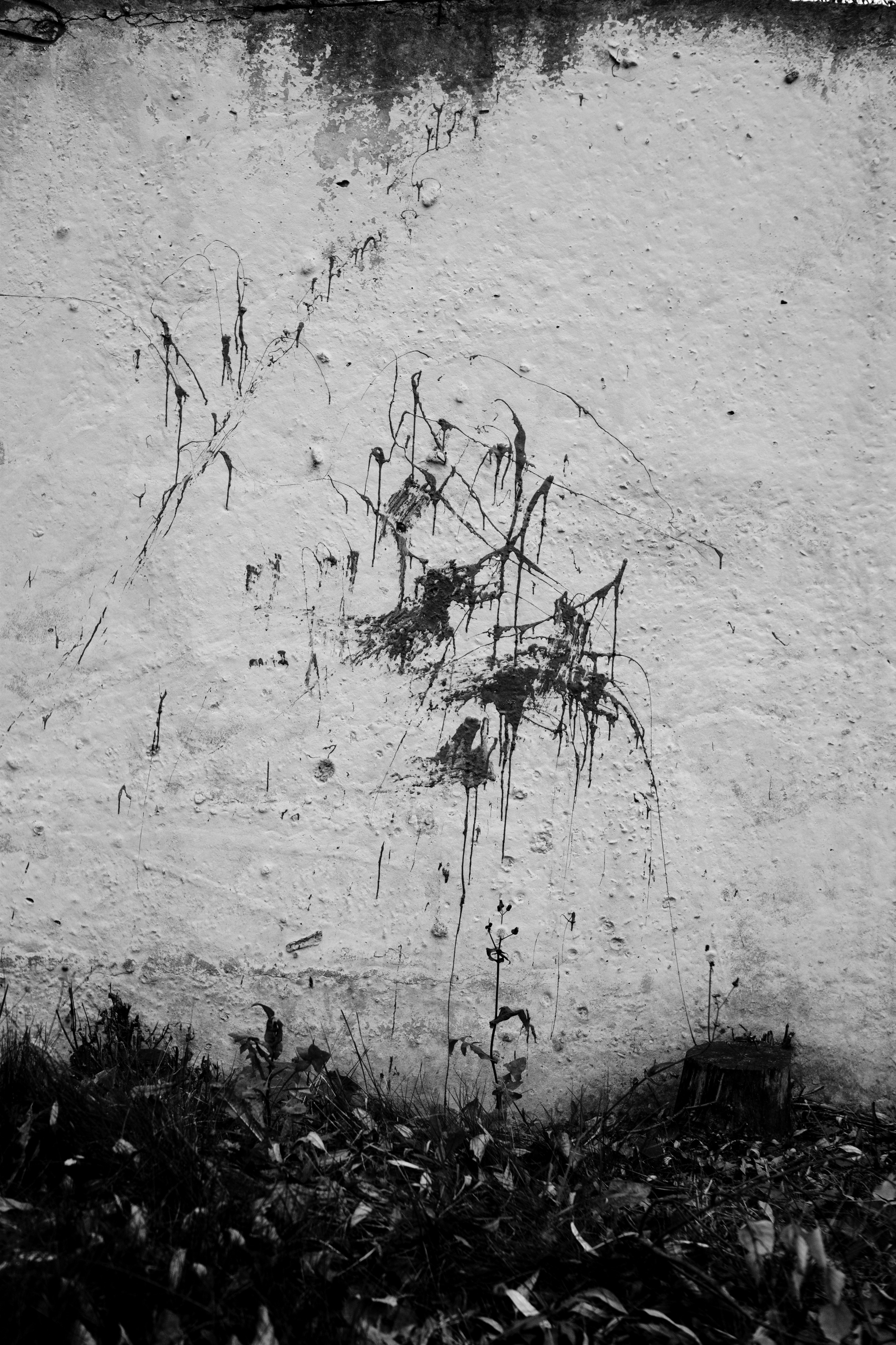 Photo by ivan_bolshakov