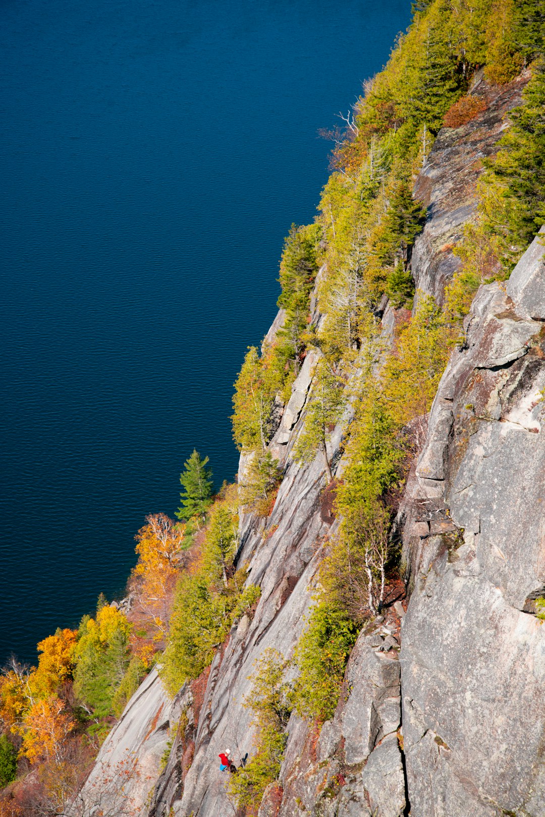 green trees on gray rocky mountain near blue sea during daytime