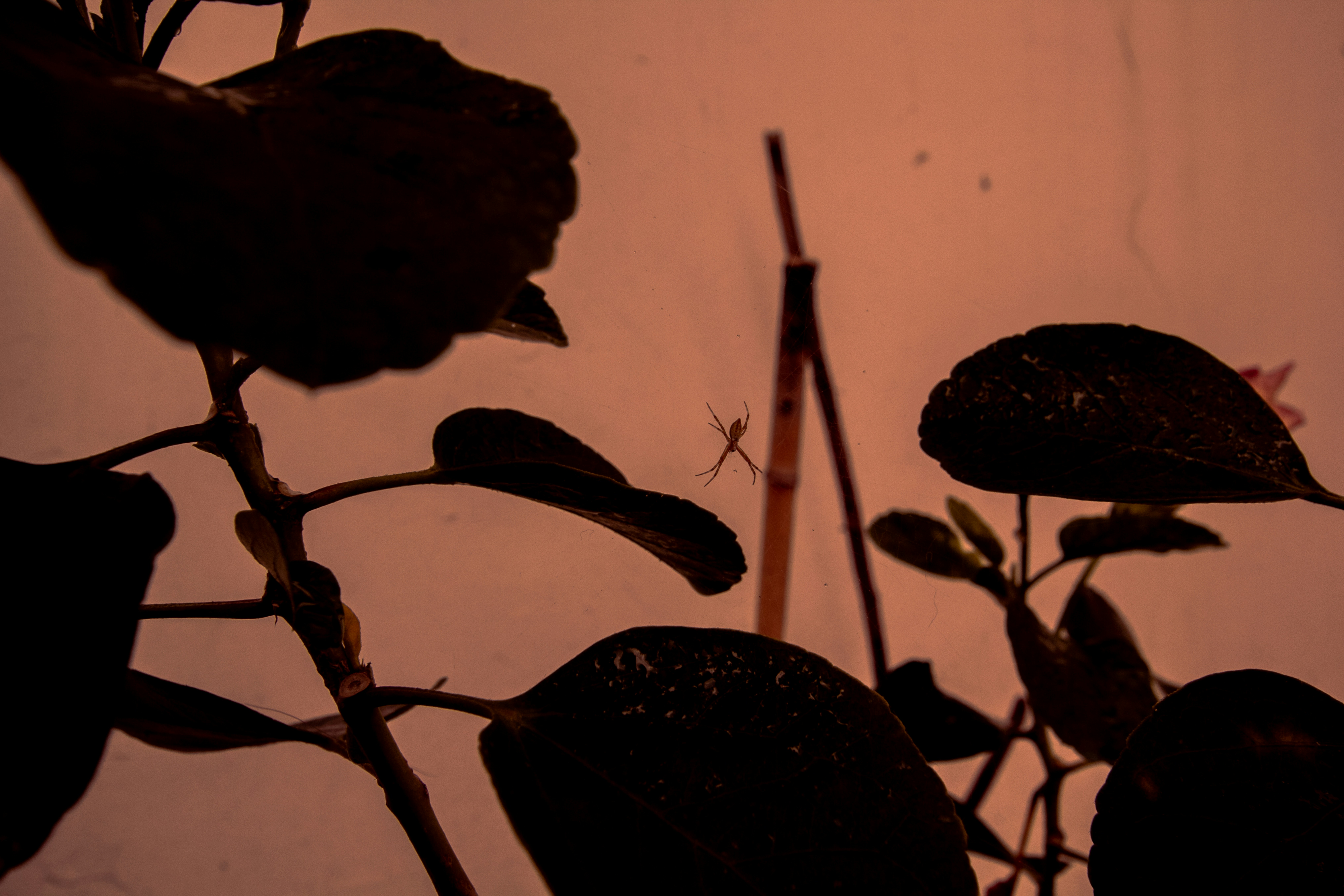 Photo by andresloquesea