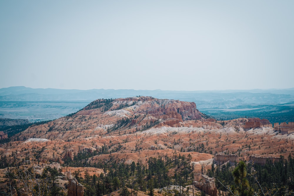 brown rocky mountain near green trees under white sky during daytime