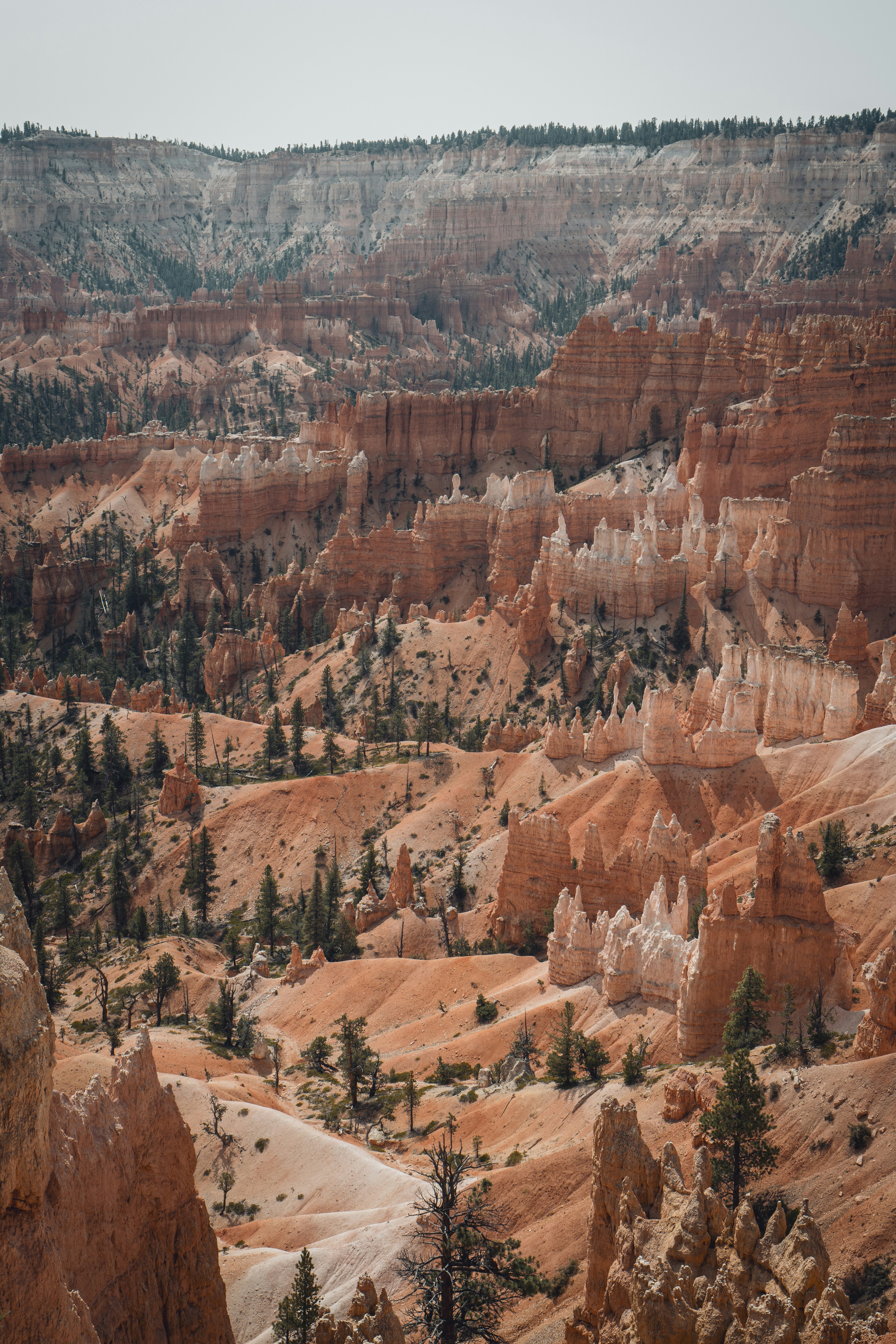 Photo by lauraintacoma