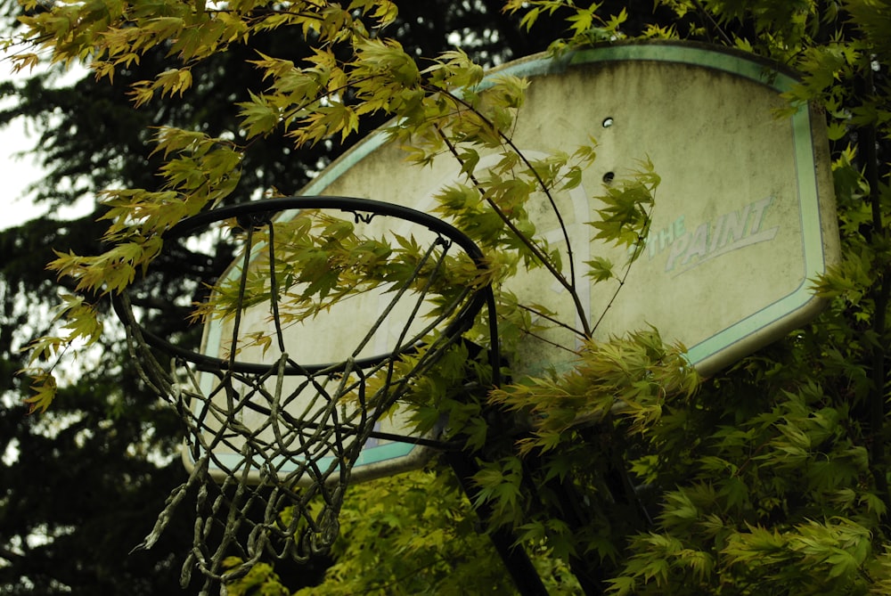 black metal frame near green leaf plants during daytime