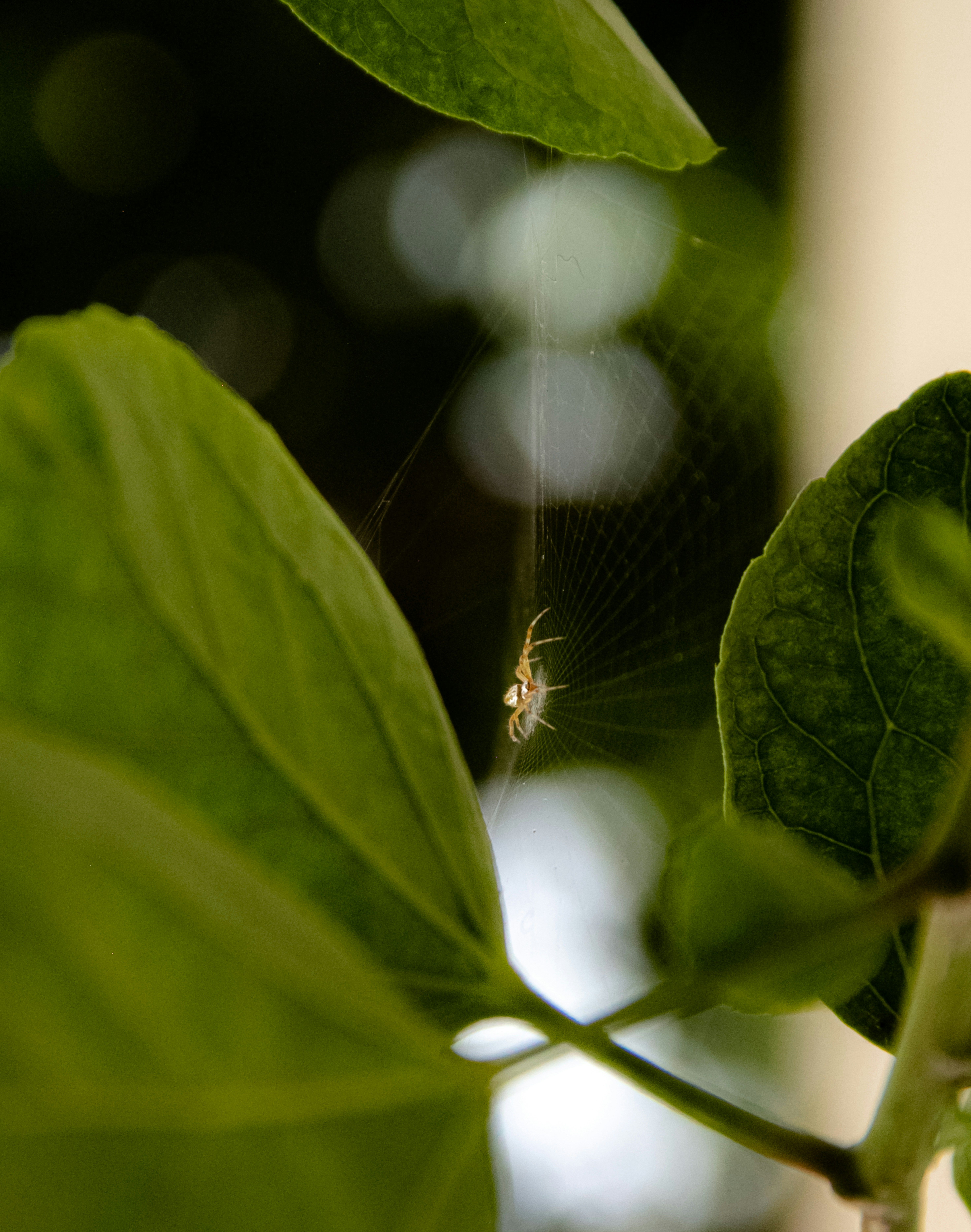 Photo by andresloquesea