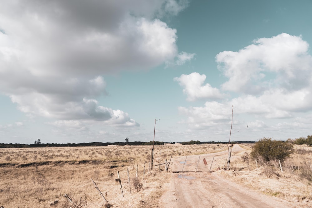 brown field under blue sky and white clouds during daytime