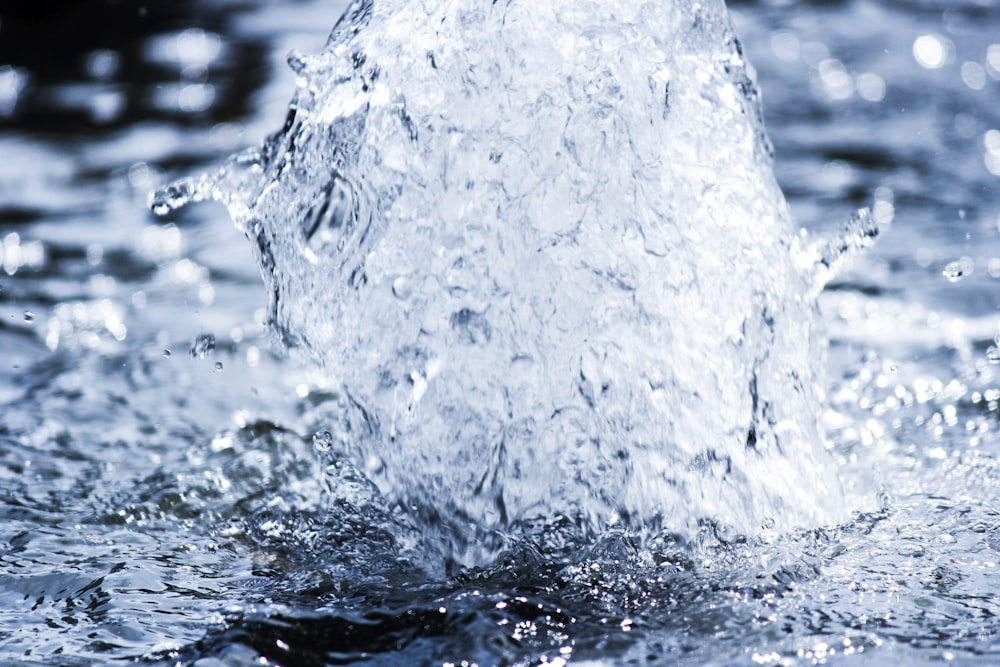 water splash in close up photography