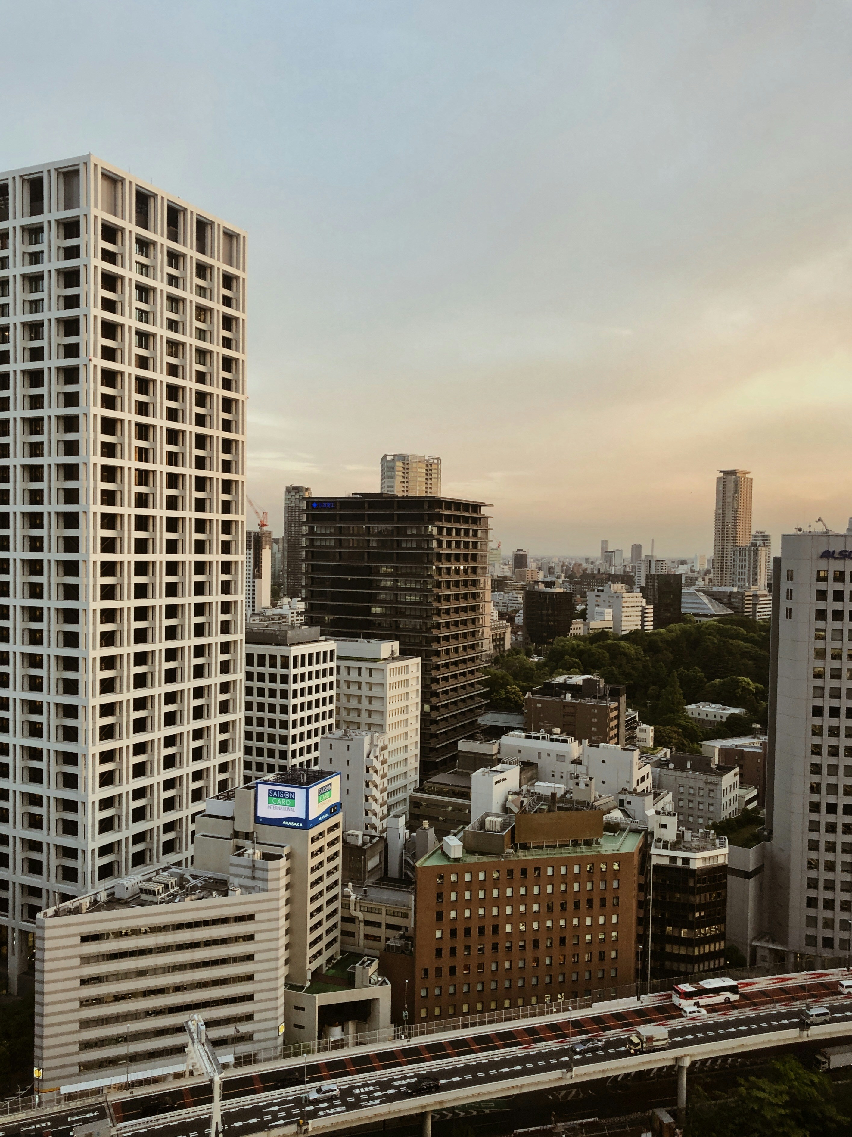 Photo by olgaserjantu