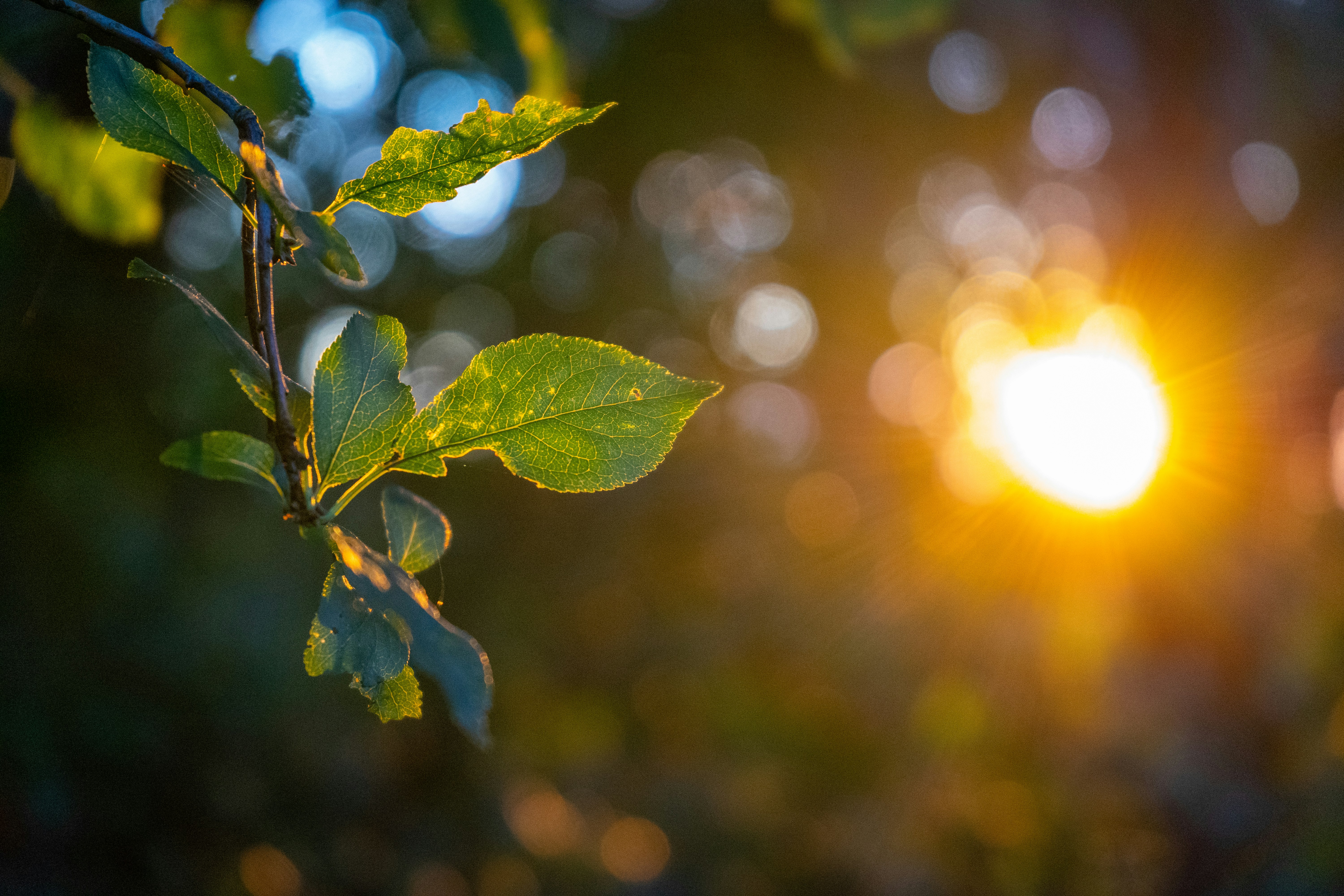 Photo by razvan_mirel