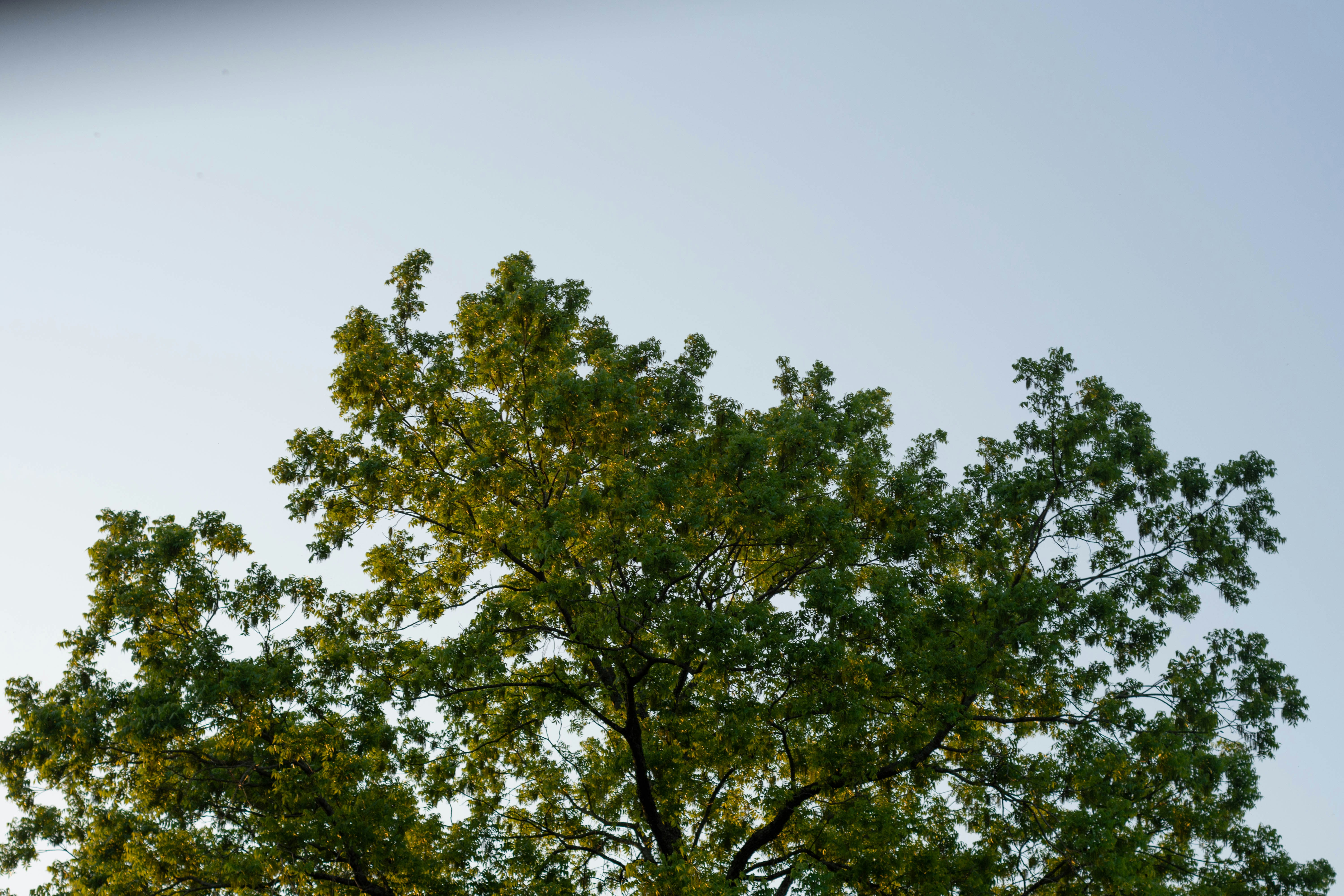 Photo by lucasgwendt