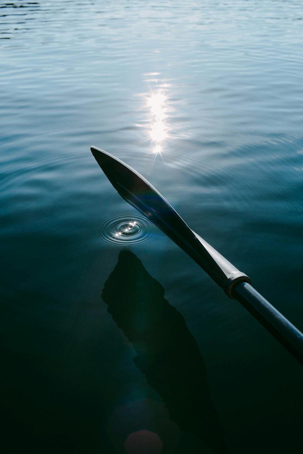 canna da pesca nera e grigia sullo specchio d'acqua