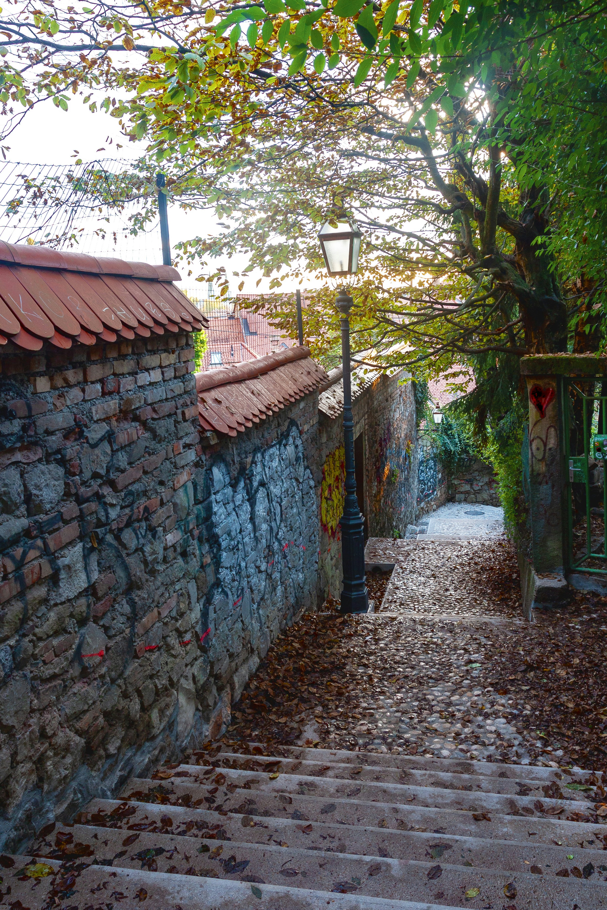 Photo by eugene_kuznetsov