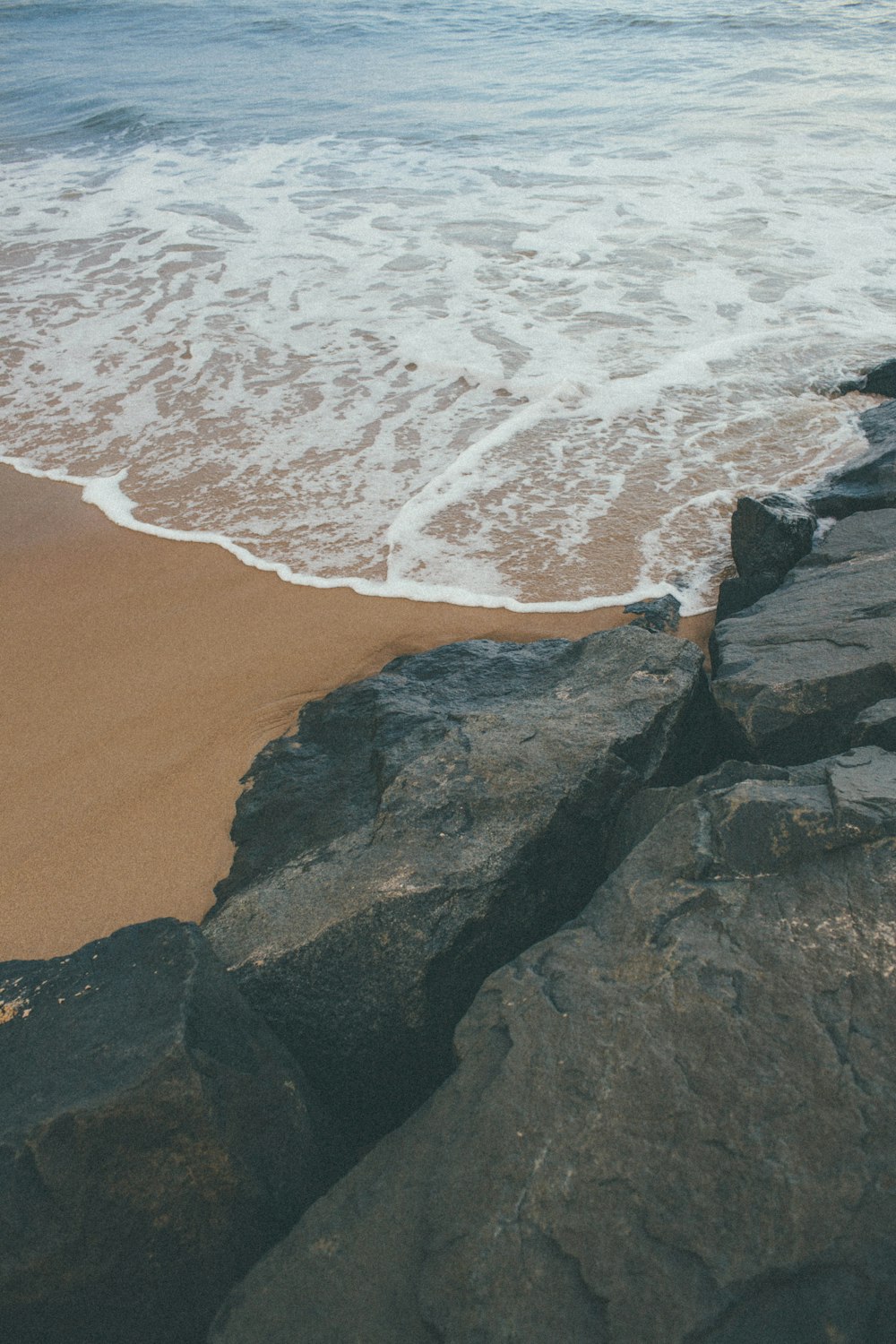 brown rocky shore near body of water during daytime