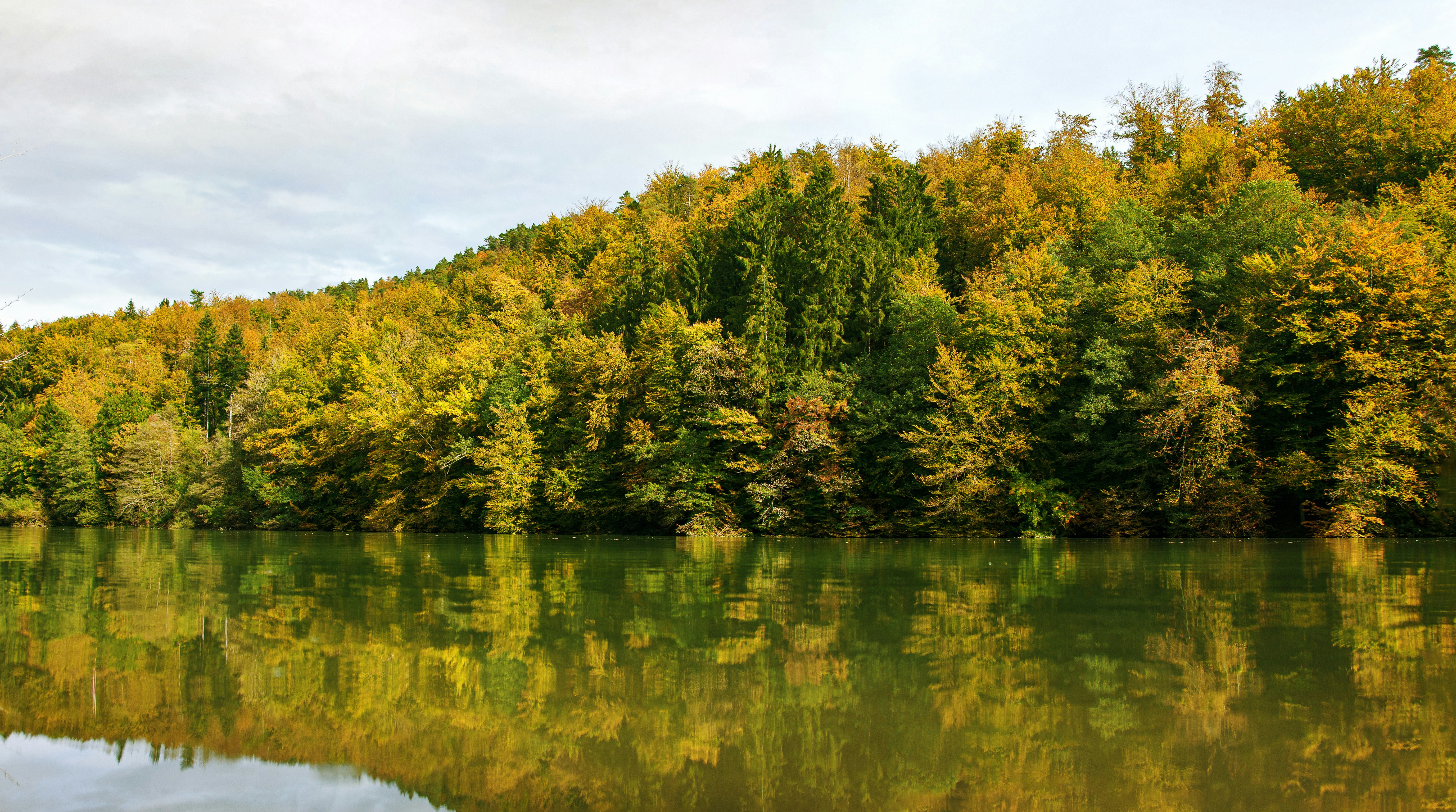 Photo by eugene_kuznetsov