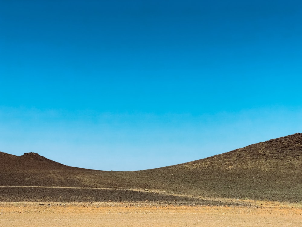 brown field under blue sky during daytime