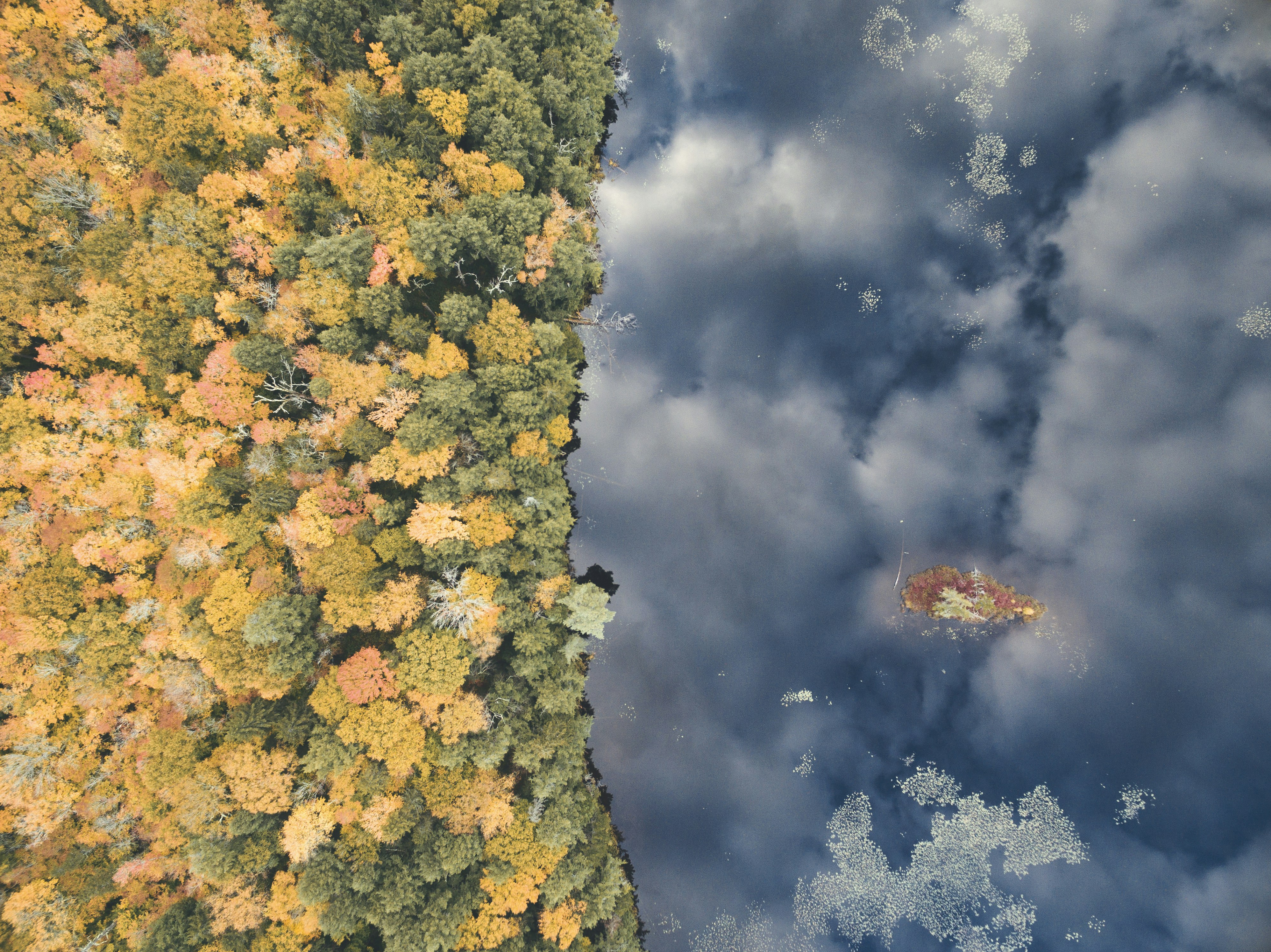 green and yellow trees under white clouds during daytime