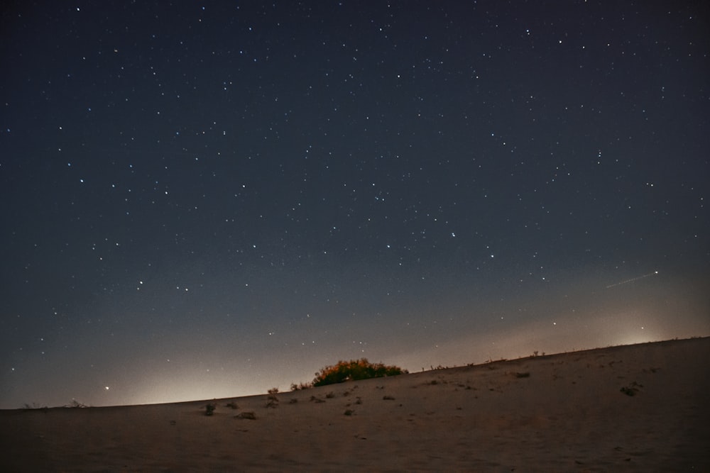 brown sand under blue sky during night time