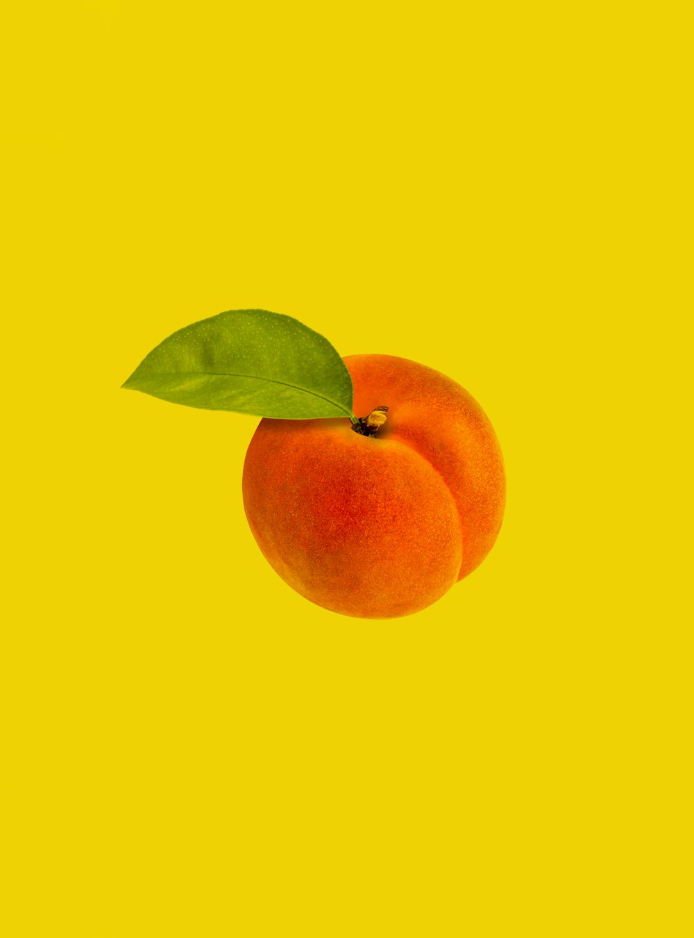 orange Frucht mit grünen Blättern