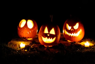 A chilling display of carved pumpkins glowing at night.