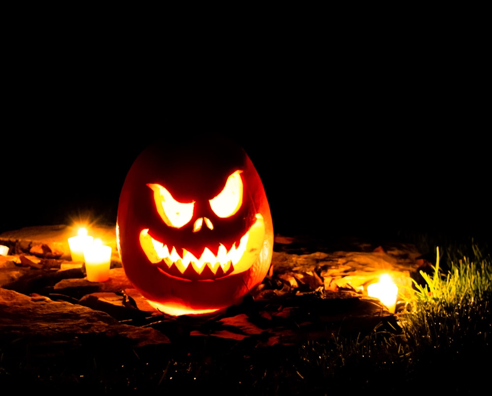 jack o lantern on brown dried leaves