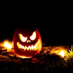 jack o lantern on brown dried leaves