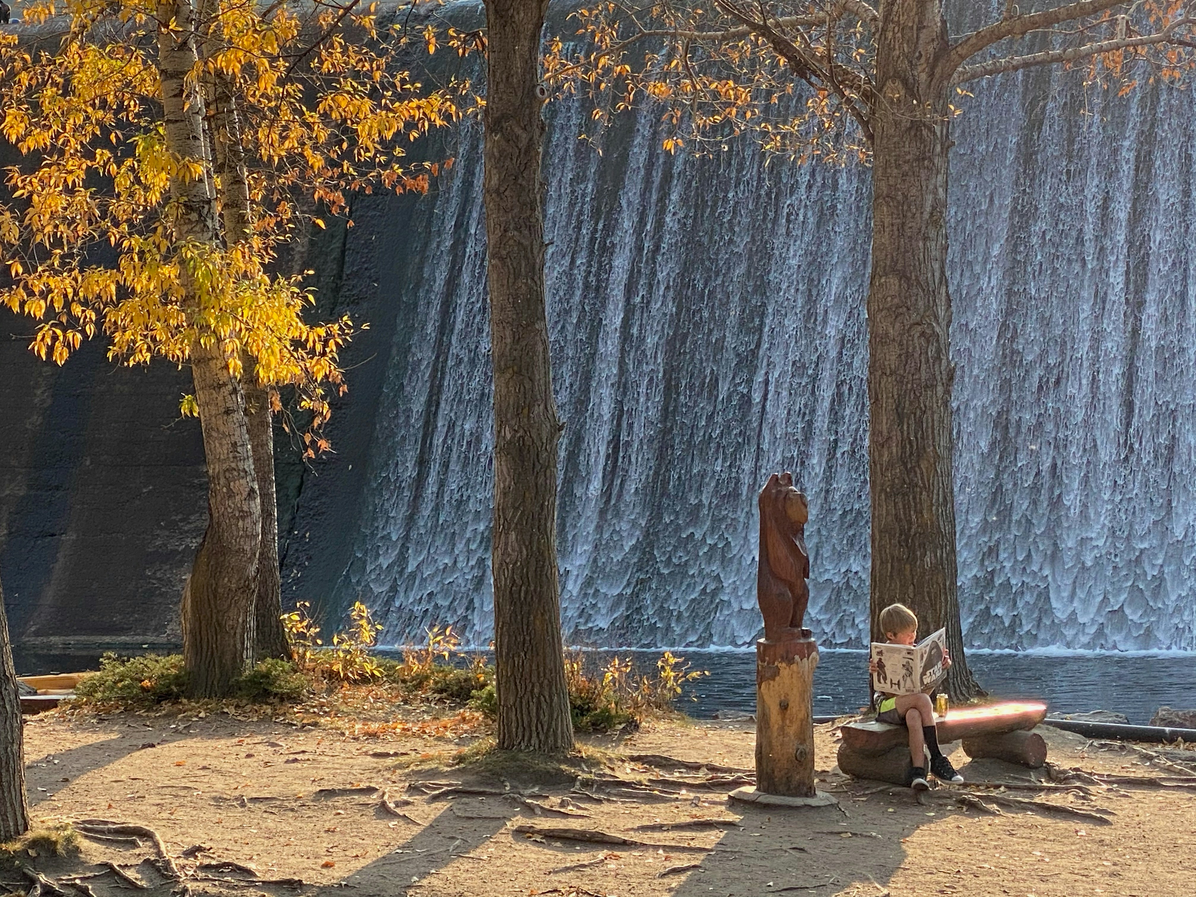 woman in brown dress sitting on bench near body of water during daytime evergreen zoom background