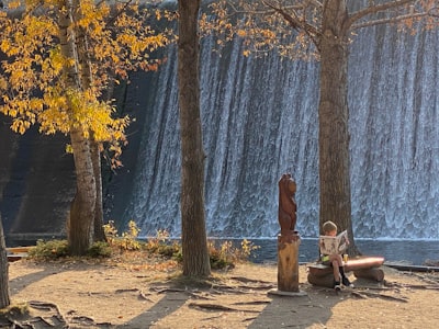 woman in brown dress sitting on bench near body of water during daytime evergreen google meet background