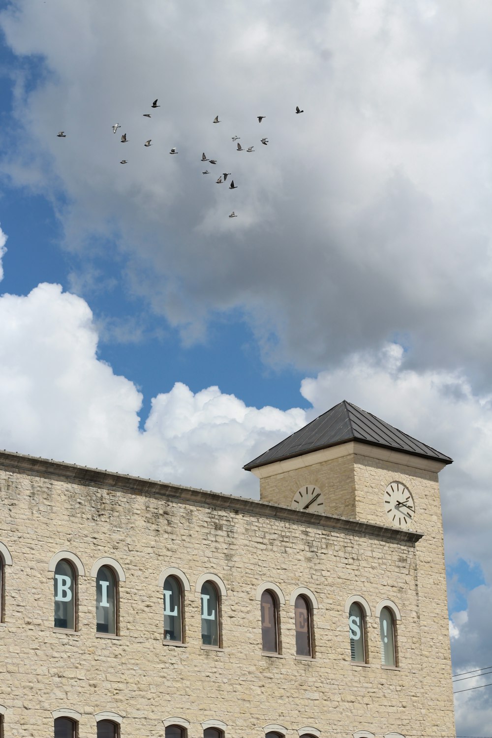 flock of birds flying over brown concrete building under blue sky during daytime