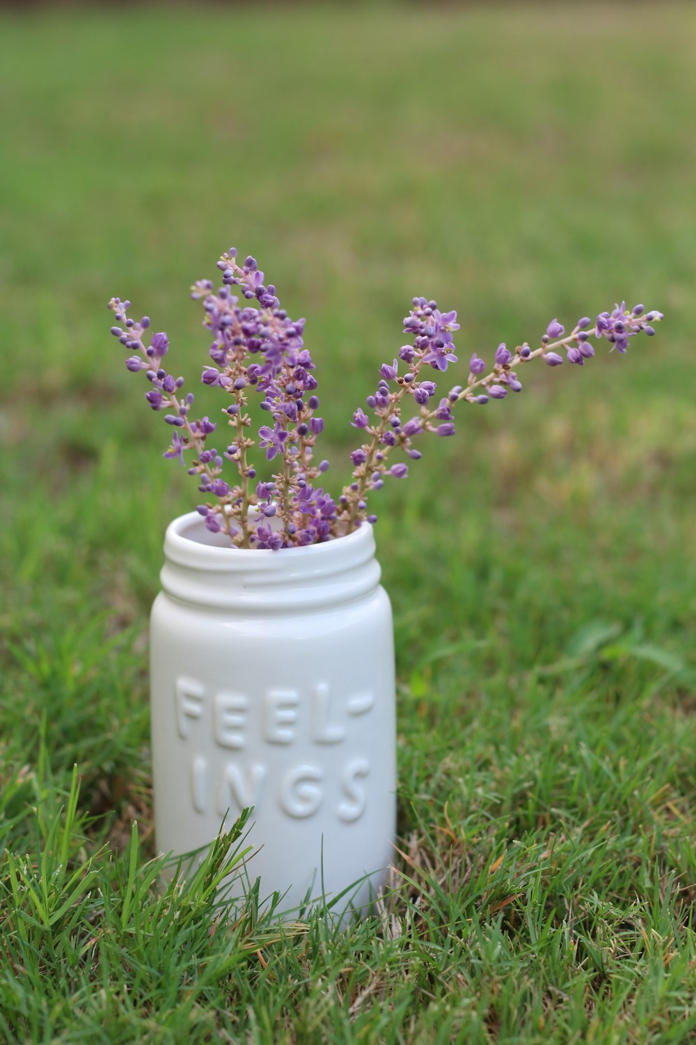 purple flowers in white ceramic vase on green grass during daytime