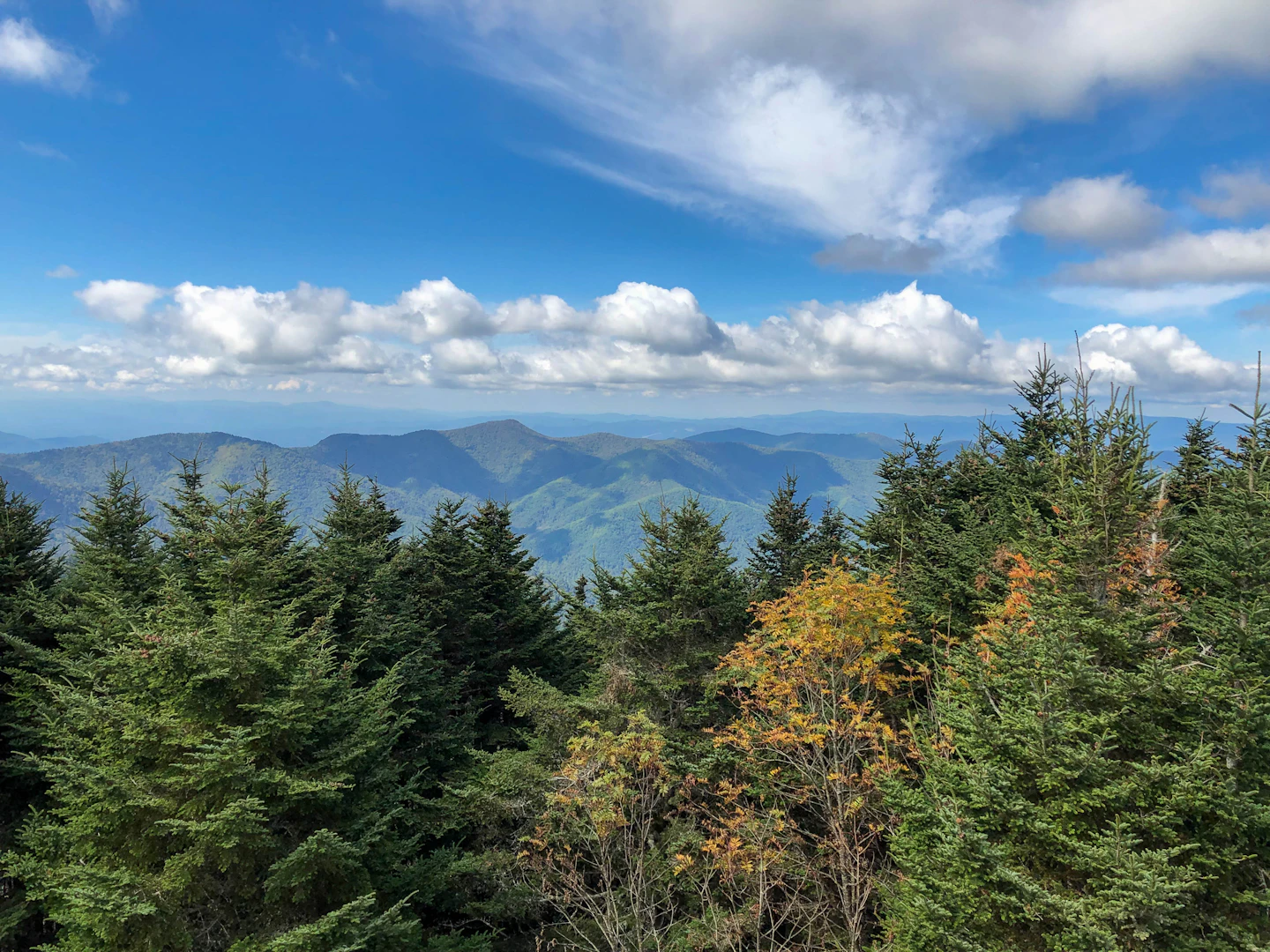 Ridges fading into the distance beyond a line of summit trees under a partly cloudy sky.
