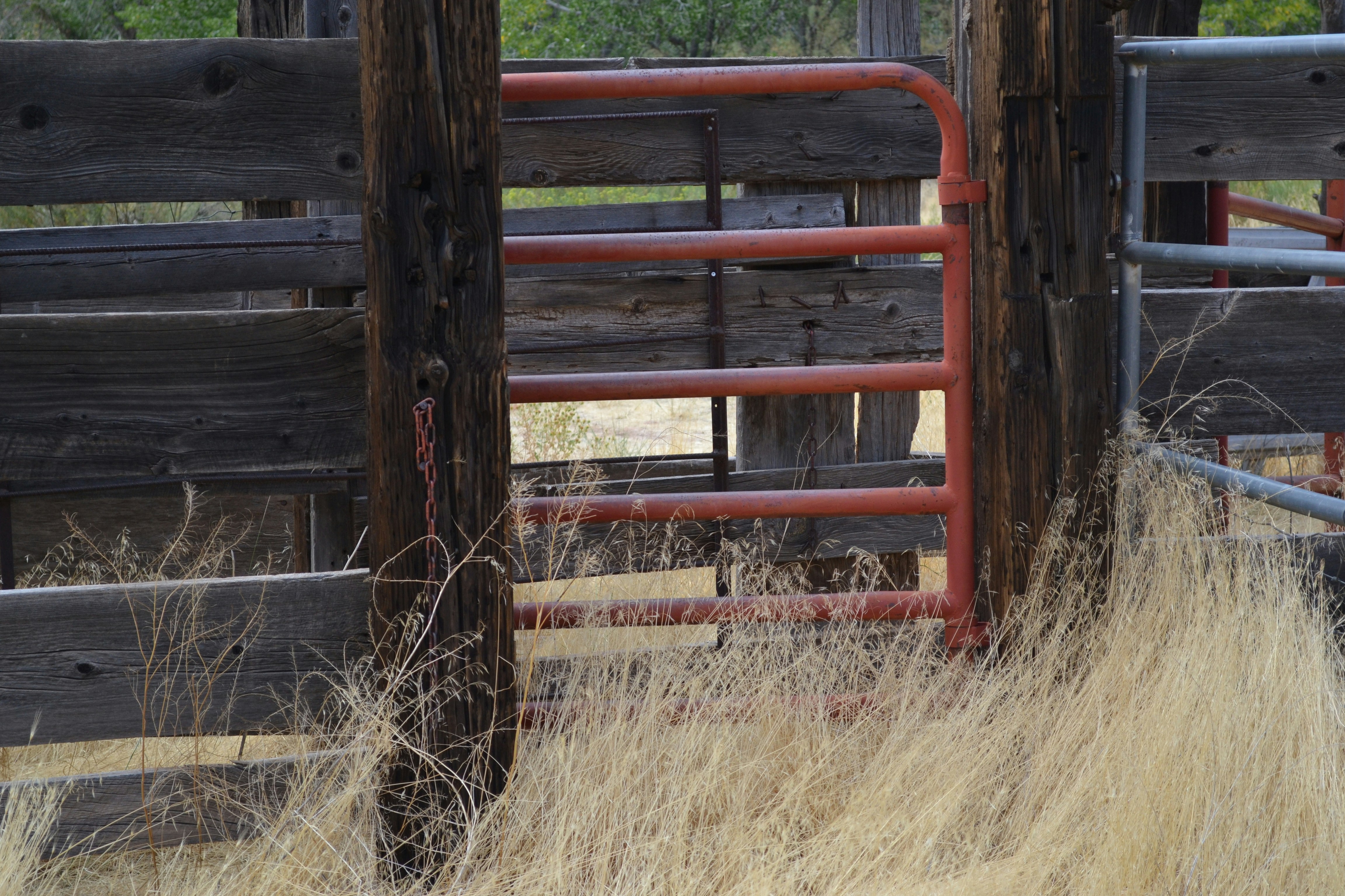 red wooden fence on brown grass field during daytime