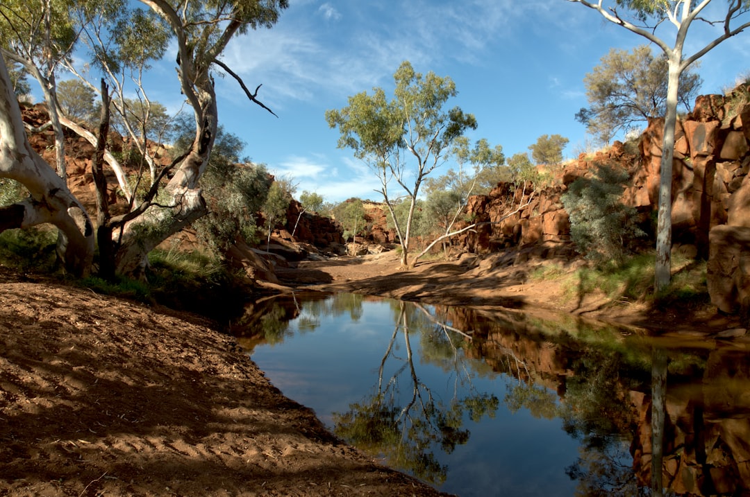 Drag Queens Down Under: Exploring the Outback Filming Locations of… — Drag Queens Down Under