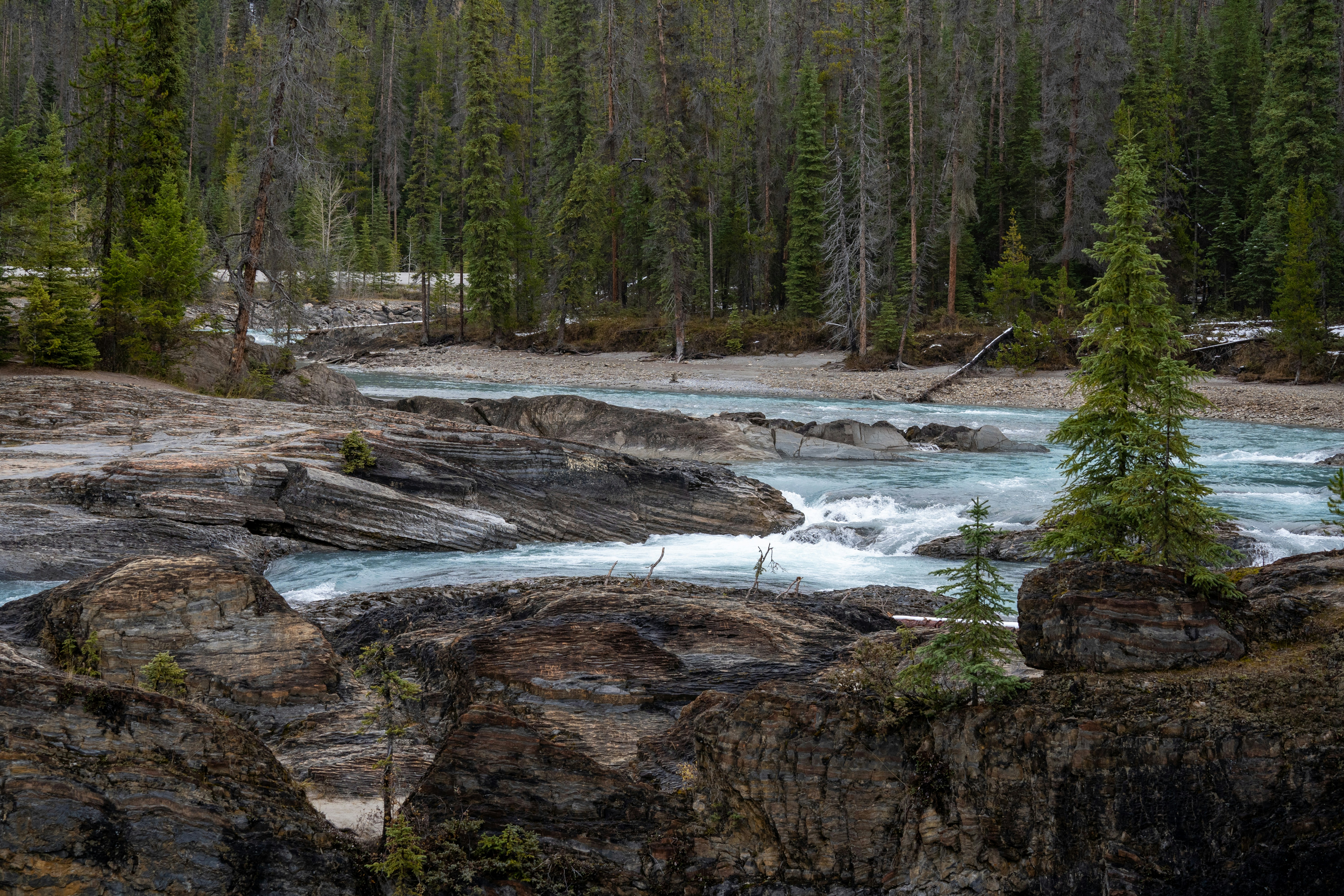 Photo by frenchriera