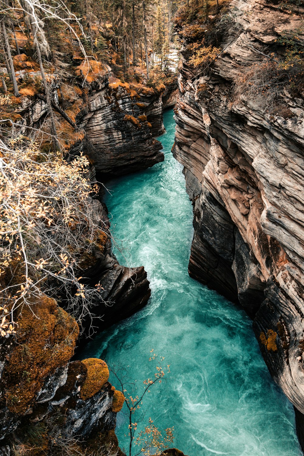 Formación rocosa marrón junto al cuerpo de agua durante el día