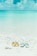 A pair of stylish, breathable sandals placed on a sunlit sandy beach.
