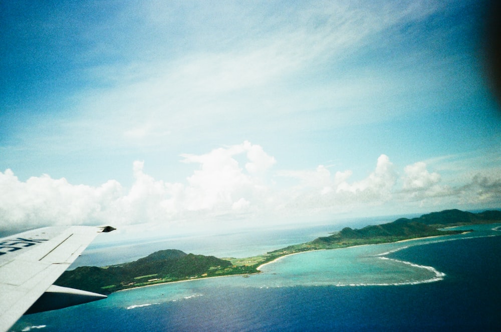 bird flying over the sea during daytime